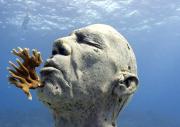 海の中の彫刻美術館!?-メキシコカリブ海の底から